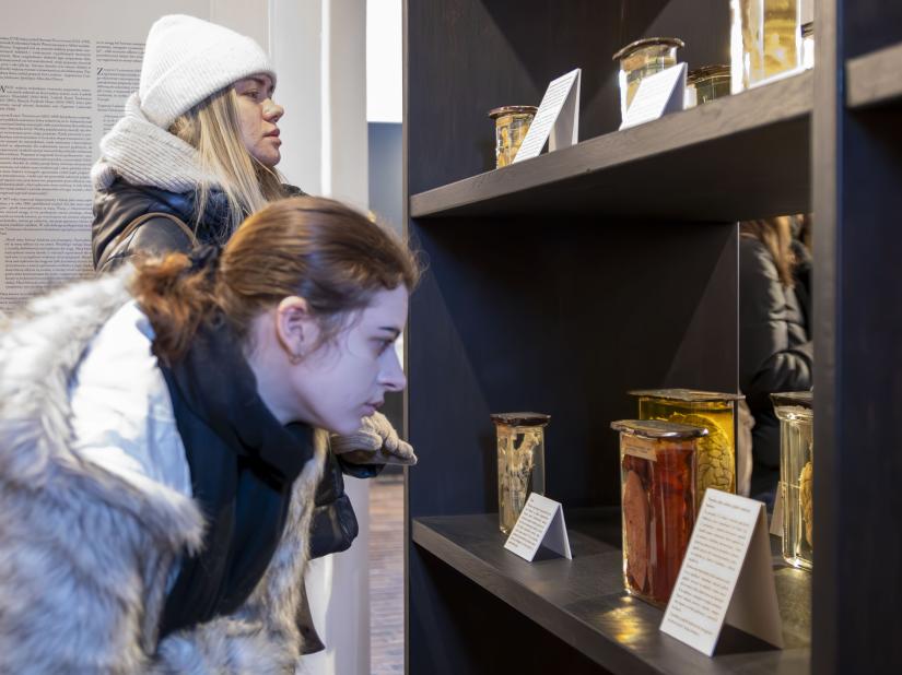 Studenci kierunku pielęgniarstwo odwiedzili Muzeum Mikołaja Kopernika we Fromborku