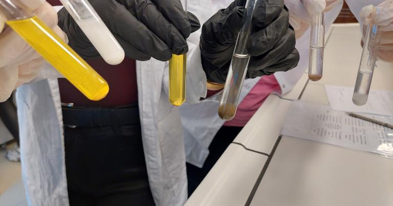 Uczniowie Zespołu Szkół Technicznych w laboratorium PWSZ w Elblągu